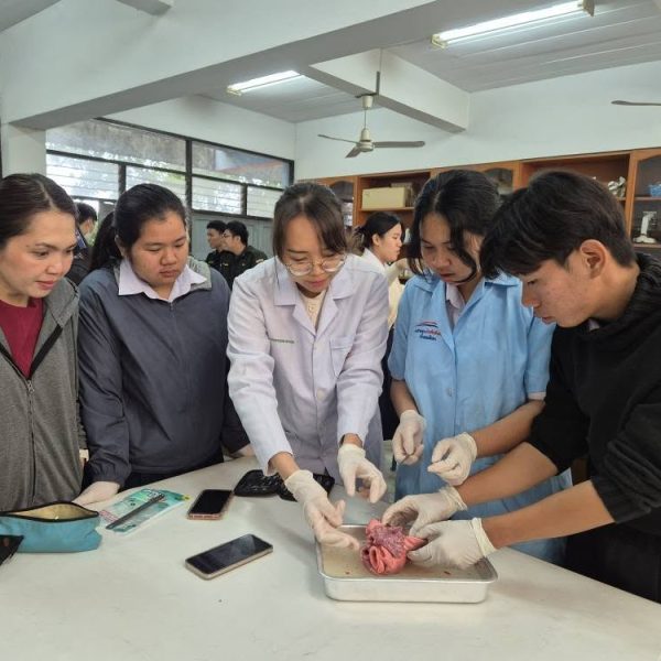 รายงานผลการนิเทศภายในสถานศึกษา ปีการศึกษา 2567